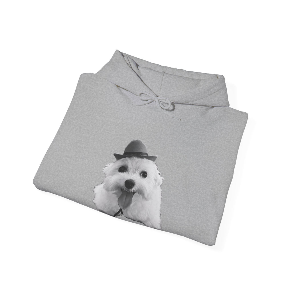 Cute Dog Hoodie — Fluffy Pup with Hat Graphic Sweatshirt