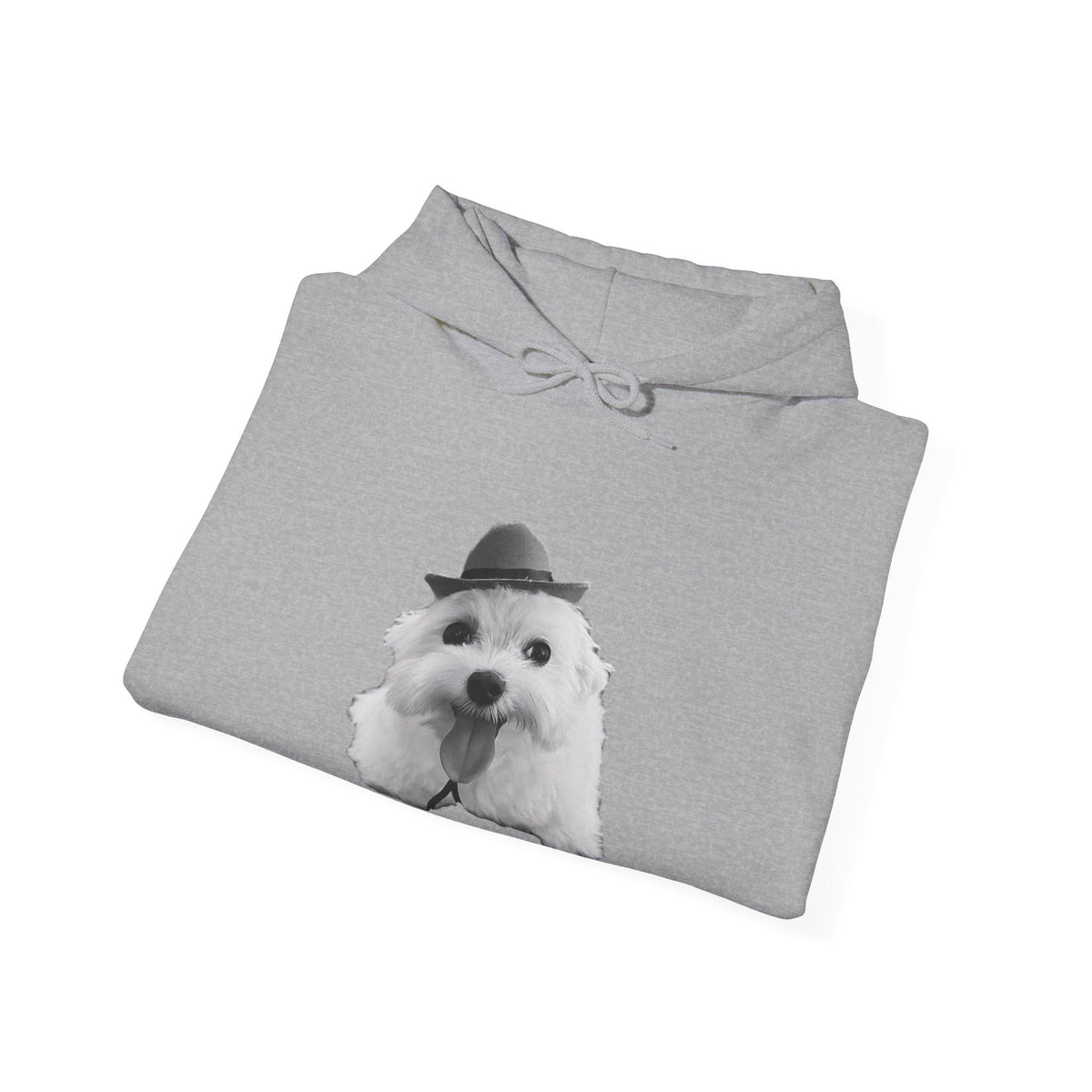 Cute Dog Hoodie — Fluffy Pup with Hat Graphic Sweatshirt