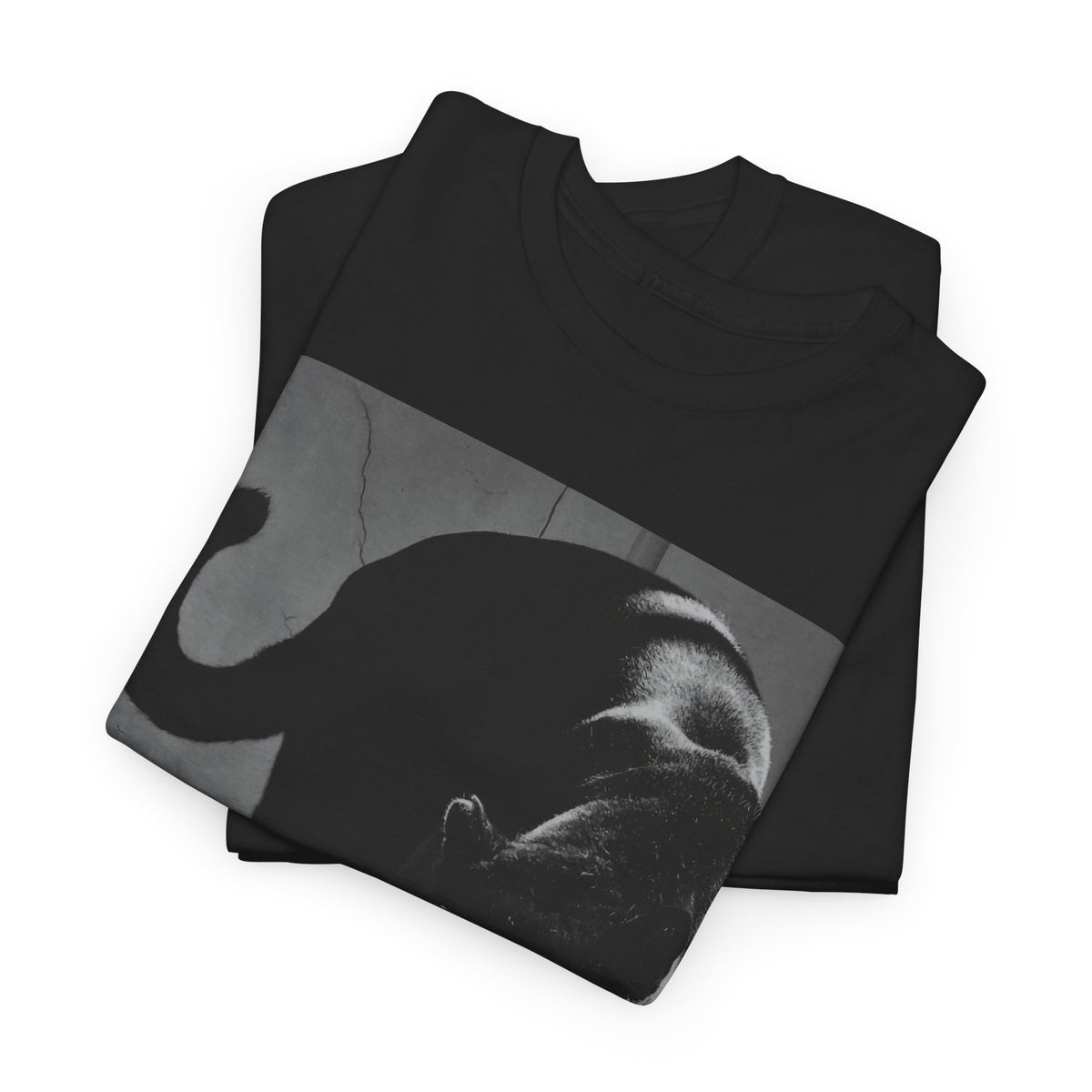 Black Panther Photo T‑Shirt — Vintage Cat Street Photography Tee