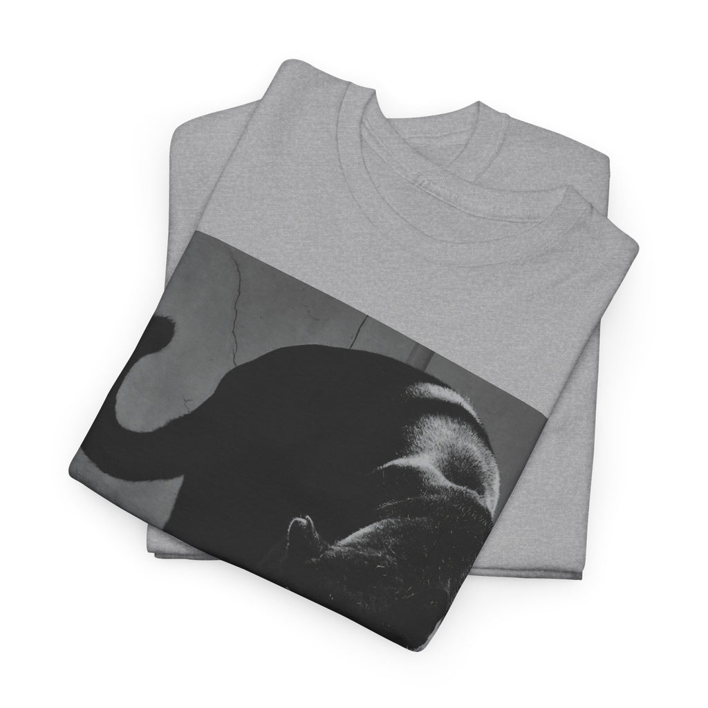 Black Panther Photo T‑Shirt — Vintage Cat Street Photography Tee