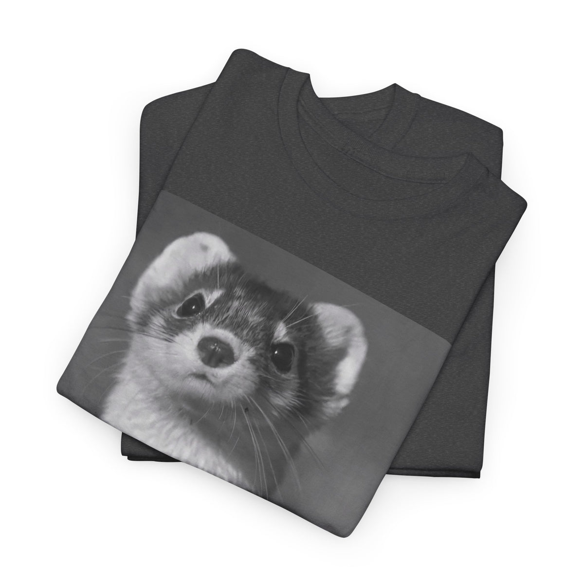 Ferret Portrait T-Shirt — Cute Black & White Animal Tee