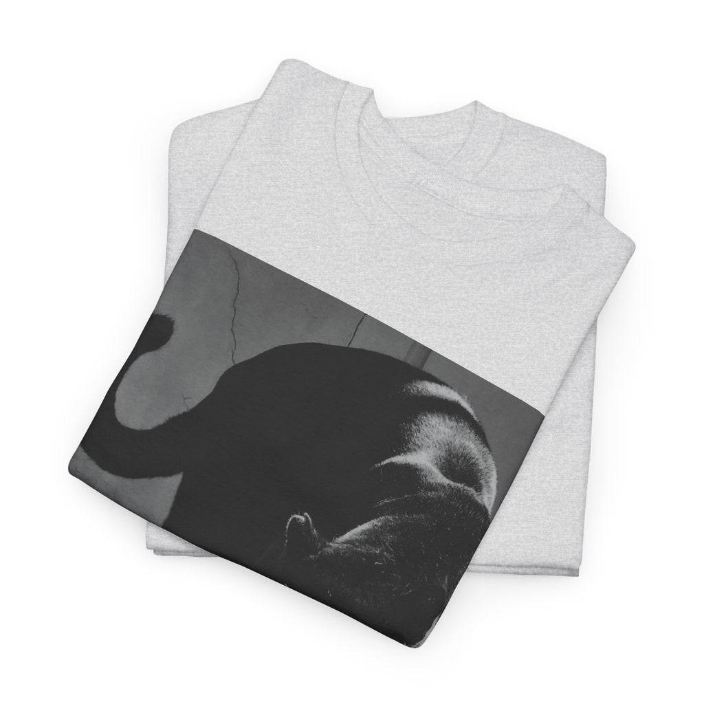 Black Panther Photo T‑Shirt — Vintage Cat Street Photography Tee