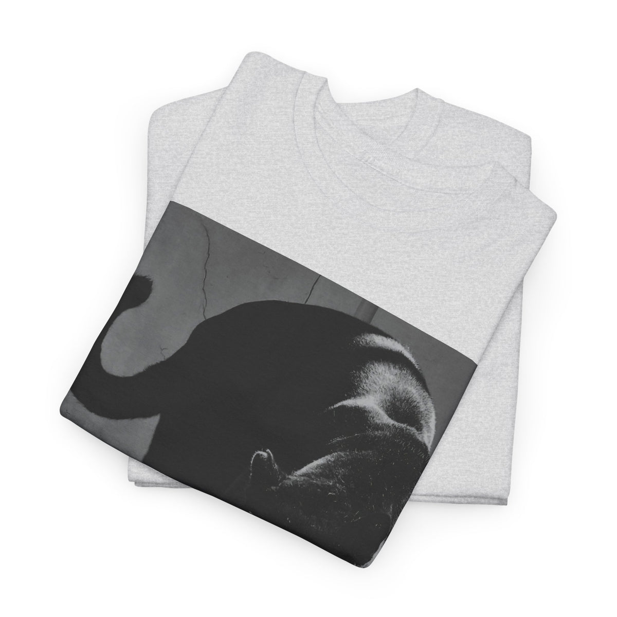 Black Panther Photo T‑Shirt — Vintage Cat Street Photography Tee