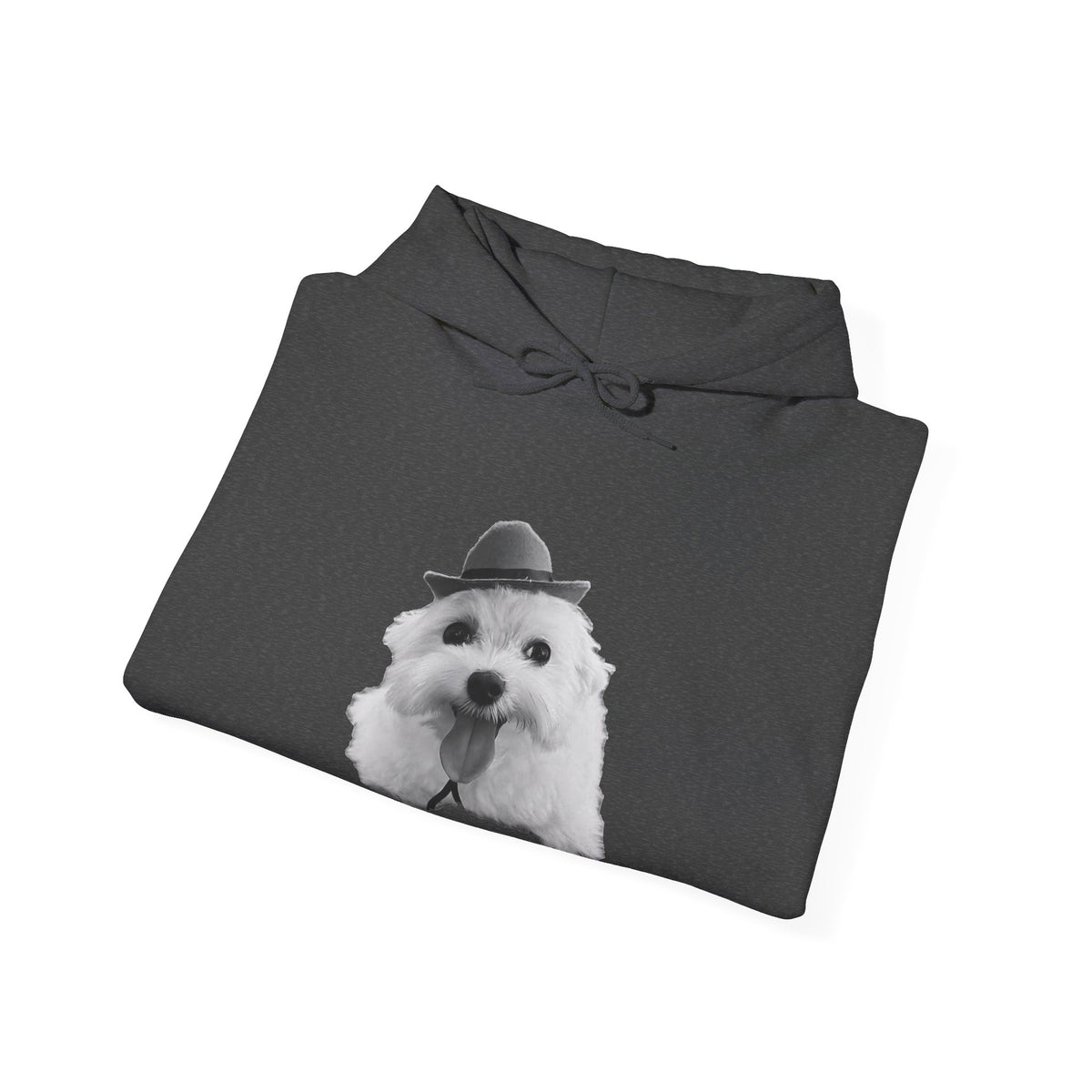 Cute Dog Hoodie — Fluffy Pup with Hat Graphic Sweatshirt