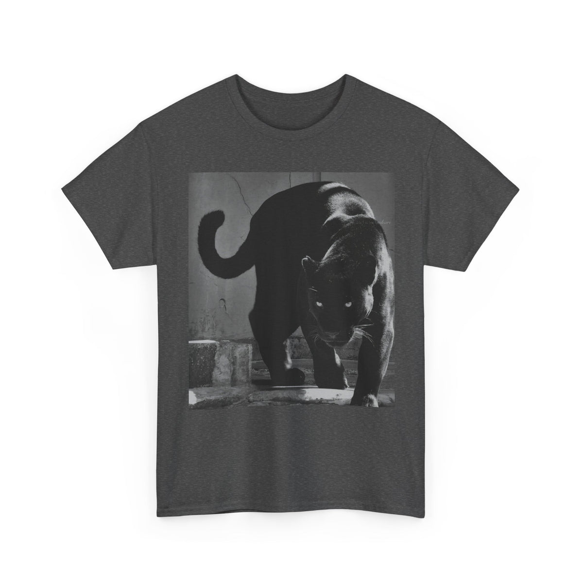 Black Panther Photo T‑Shirt — Vintage Cat Street Photography Tee