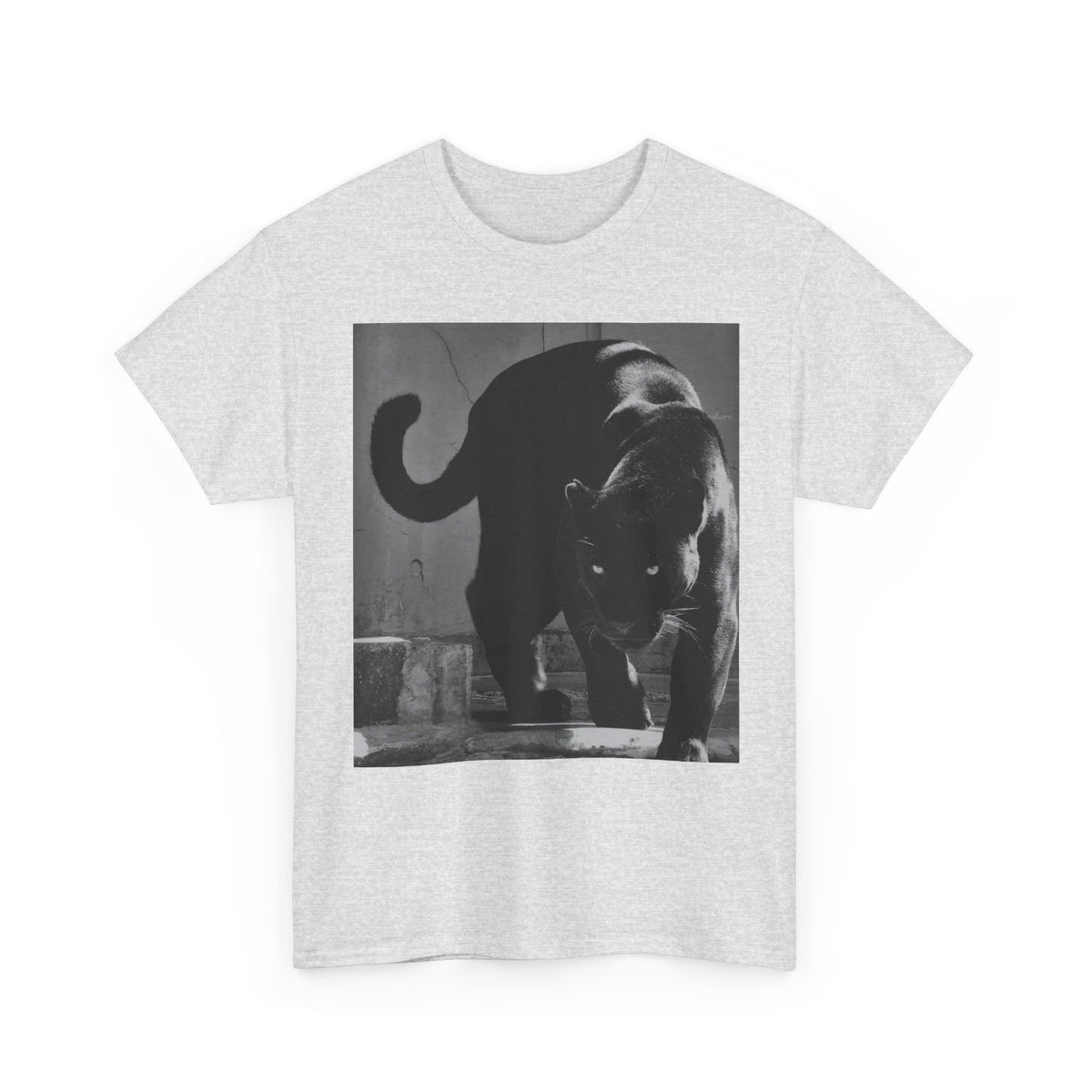 Black Panther Photo T‑Shirt — Vintage Cat Street Photography Tee