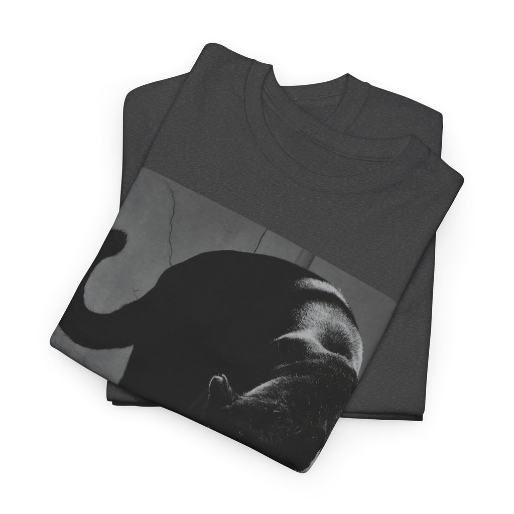 Black Panther Photo T‑Shirt — Vintage Cat Street Photography Tee