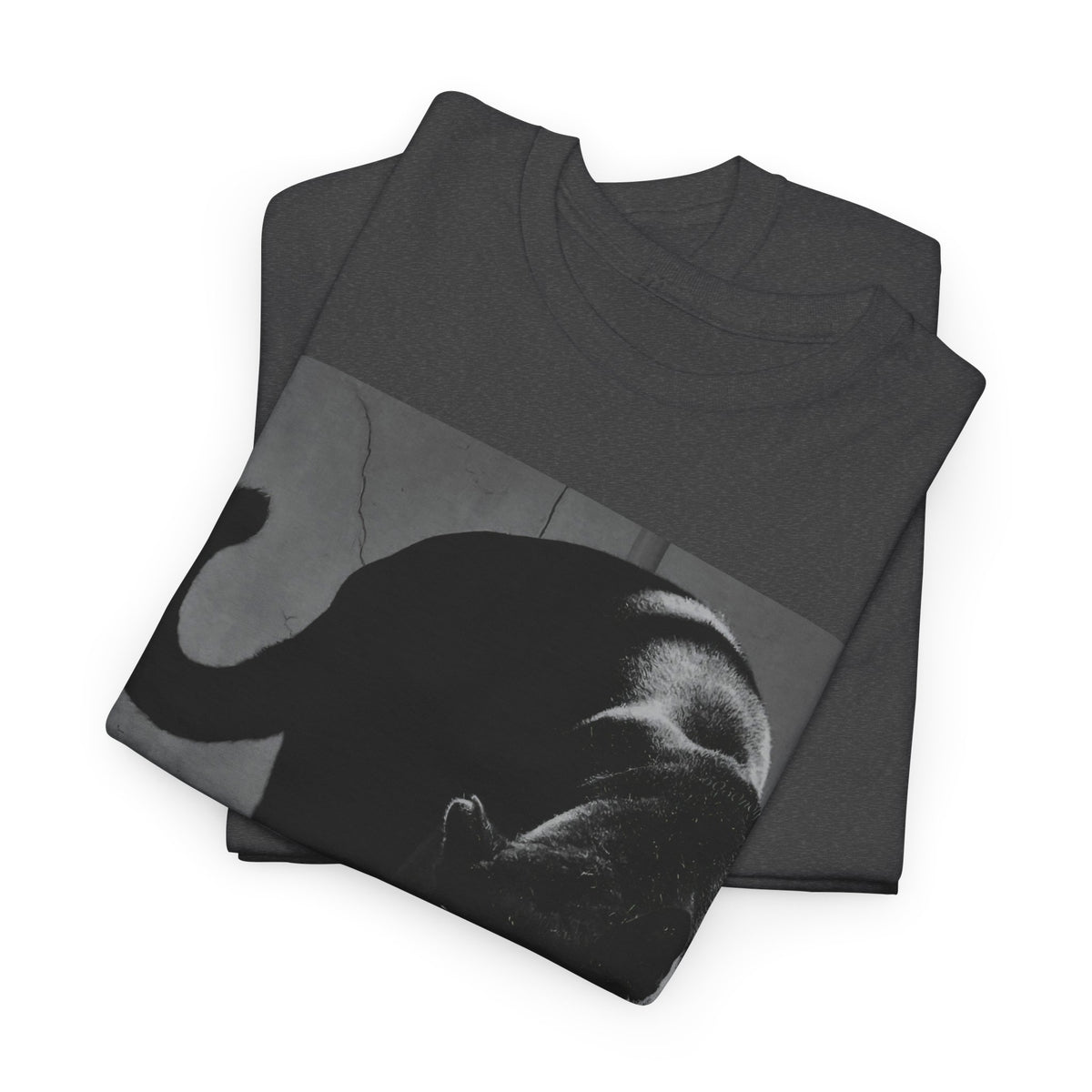 Black Panther Photo T‑Shirt — Vintage Cat Street Photography Tee