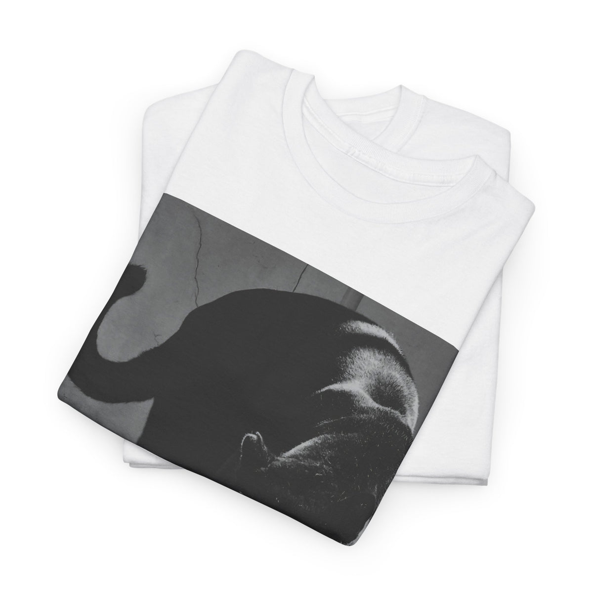 Black Panther Photo T‑Shirt — Vintage Cat Street Photography Tee